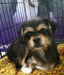 Photo submitted by ACT