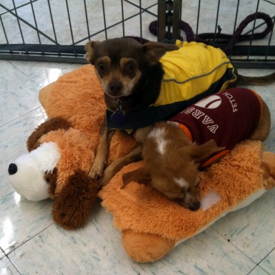 Photo submitted by ACT