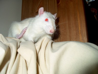 Photo by Rebecca McLeod