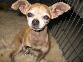 Photo by Joyce Brandon