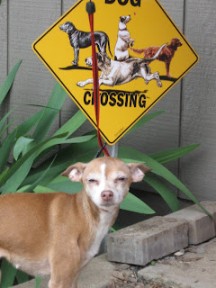 Photo provided by Joyce Brandon