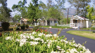 Photo provided by Wonder Valley Ranch