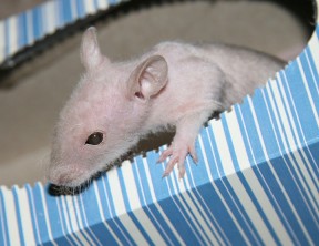 Photo by Rebecca McLeod