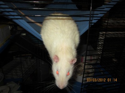 Photo by Rebecca McLeod