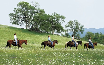 Photo provided by Wonder Valley Ranch