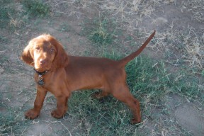 Photo by Sheryl Wall