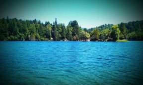 Photo by Christine Morgan Cree