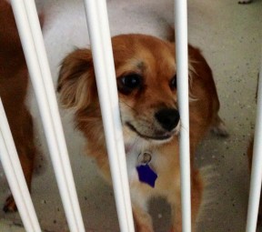 Photo by Joyce Brandon