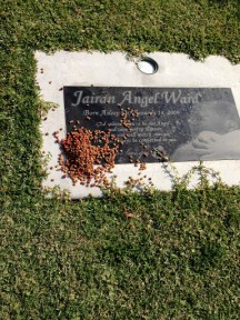 Photo by Joyce Brandon