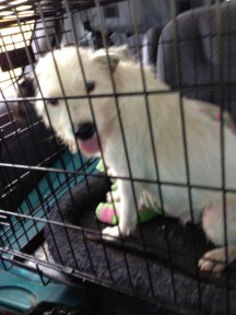 Photo by Joyce Brandon