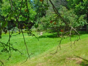 Photo by Margaret Mendel