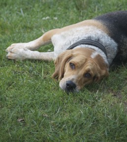 Photo by Margaret Mendel