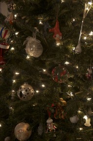 Photo by Margaret Mendel