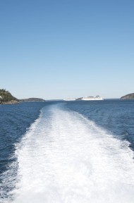 Photo by Margaret Mendel