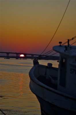 Photo by Margaret Mendel