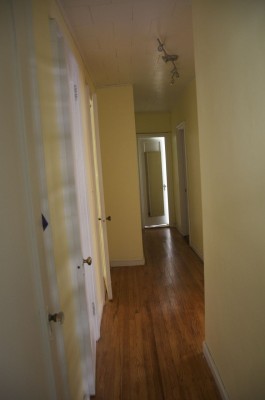 Photo by Margaret Mendel