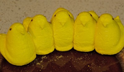 Photo by Margaret Mendel