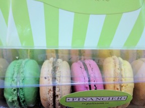 Photo by Alicia Alieu