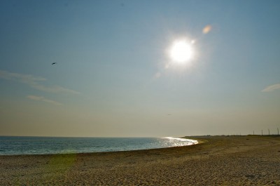 Photo by Margaret Mendel ocean