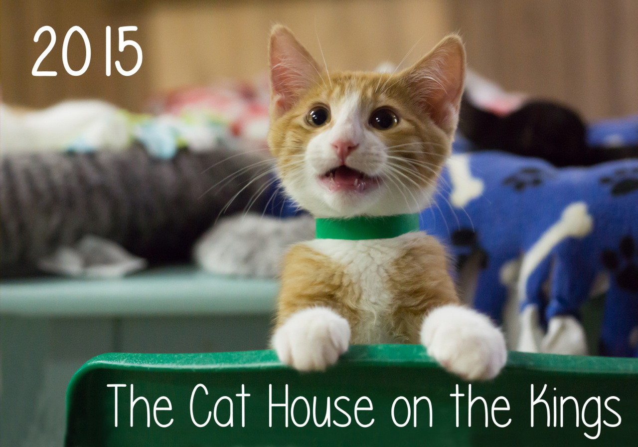 The Cat House on the Kings Open House, Makeovers & More Kings River