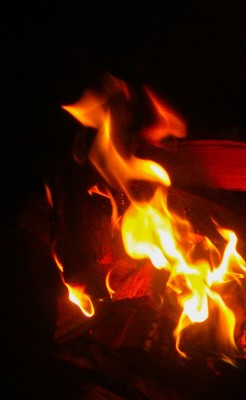 Photo by Margaret Mendel fire