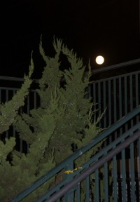 Photo by Margaret Mendel moon