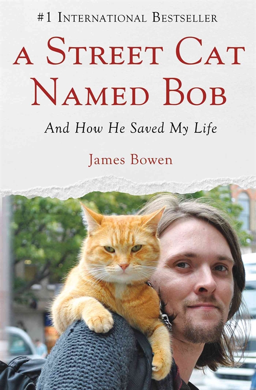 A Street Cat Named Bob & The World According to Bob By James Bowen