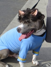 Photo by Martin Hansen parade