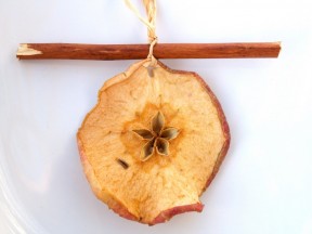 Photo provided by Diana Bulls dried apple slice with cinnamon stick