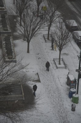 Photo by Margaret Mendel snow