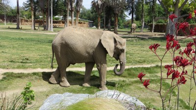 Photo by Martin Hansen zoo