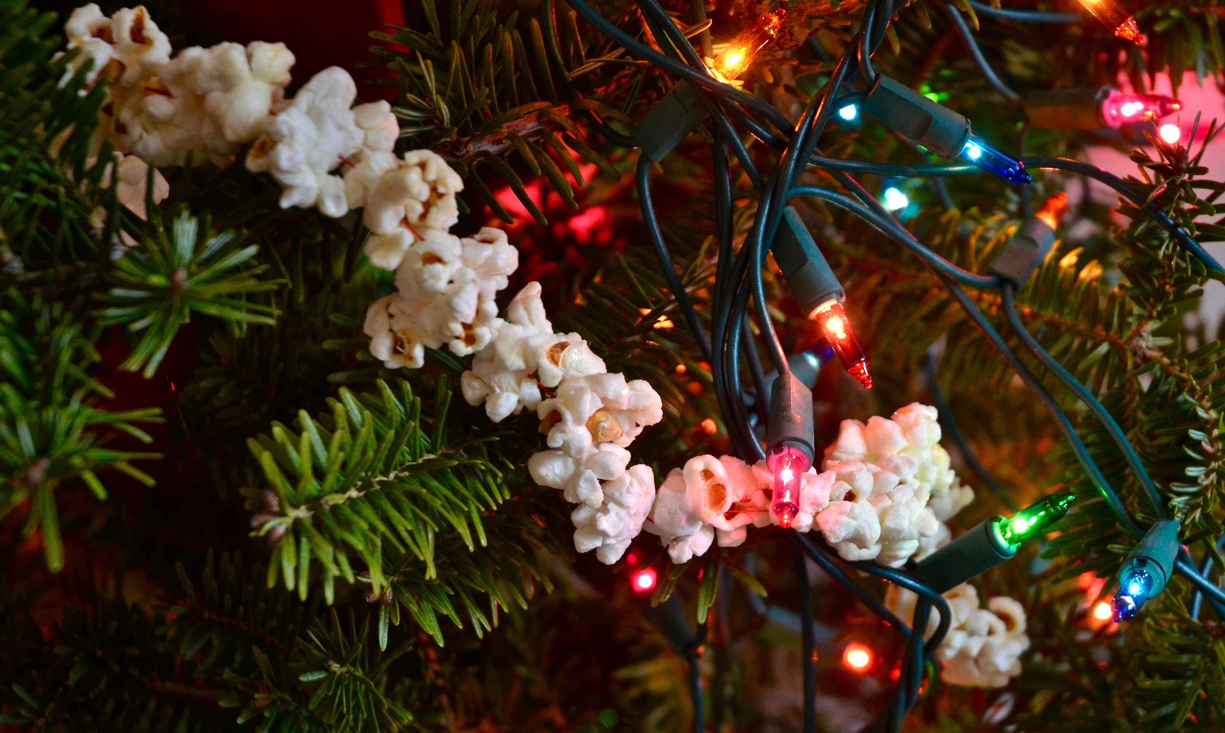 What\'s Poppin\'? Popcorn Christmas Decorations and Some Fun Facts ...
