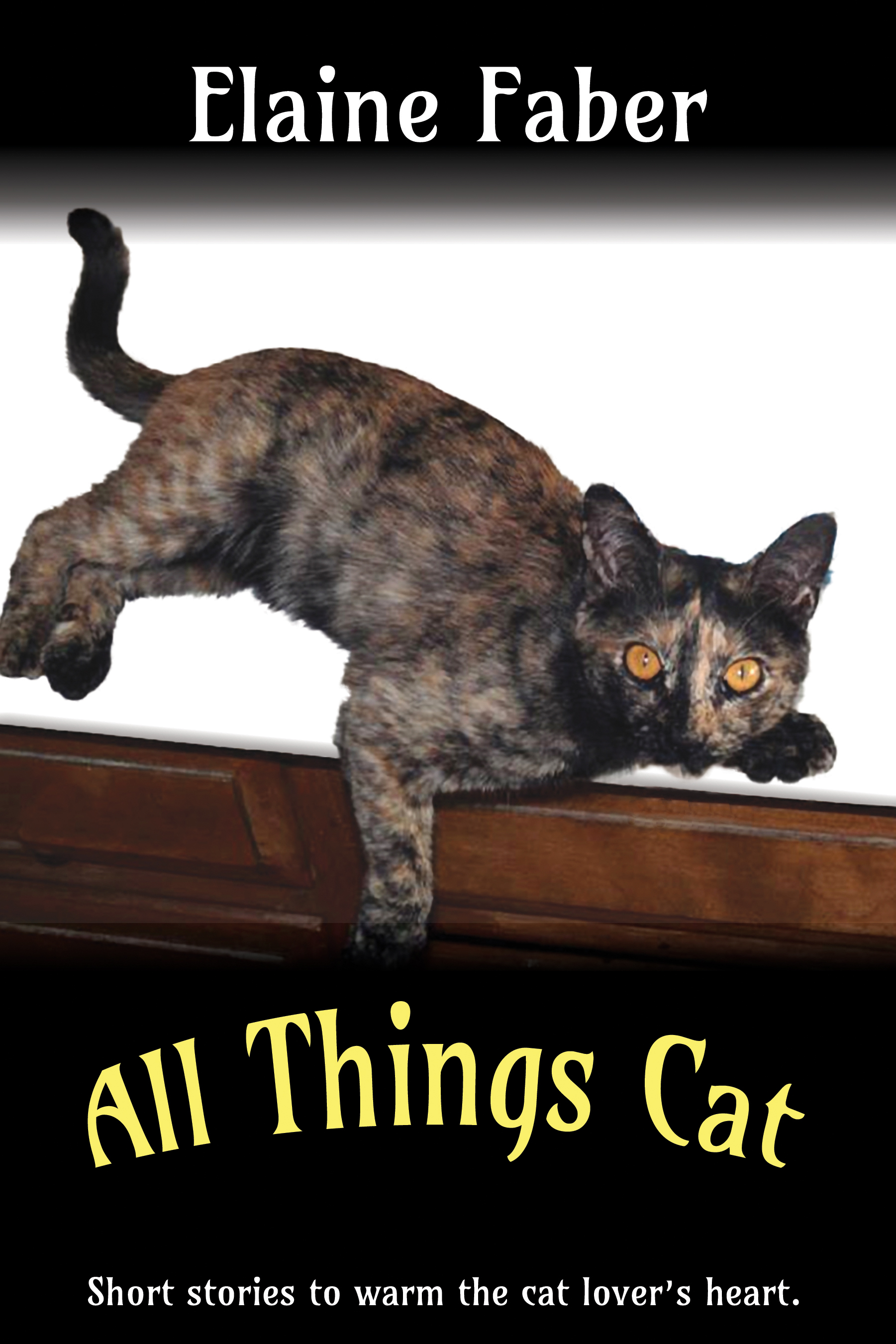 Cat thing. Things кошки. Элайн Фабер. Элейн кошка. Cat short story.