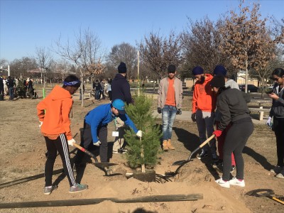planting a tree with tree fresno