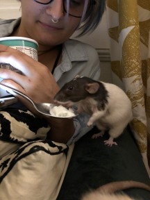 Fantasia eating ice cream after her surgery (with shaved armpit/chest)