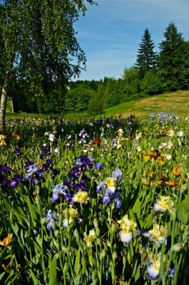 Photo by Margaret Mendel