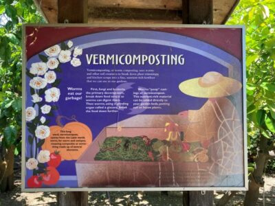 Photo by Mallory Moad