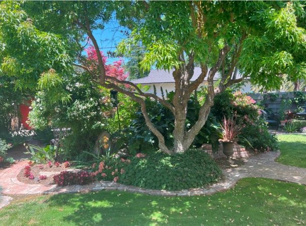 Photo by Fresno County Master Gardeners