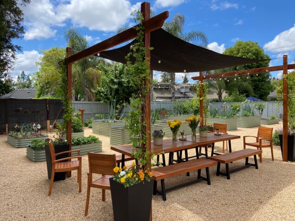 Photo by Thomas Newton